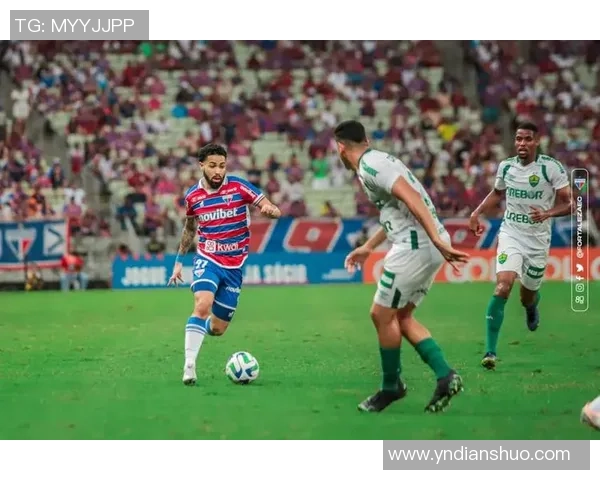 快手足球星仔是谁引起热议 他的精彩表现和背后故事揭晓